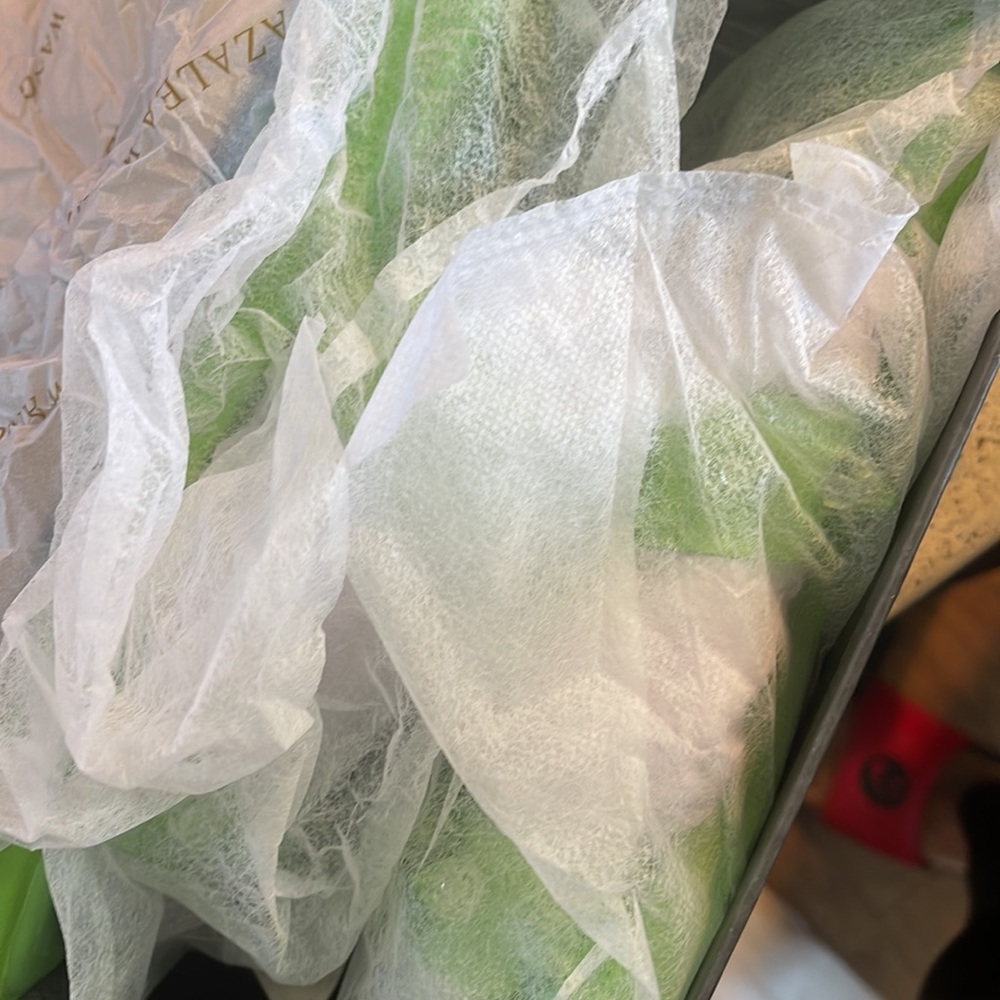 The Alyssa Jade green sandle w/ clear spikes size 8 - Picture 4 of 5